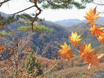 淮安土地转让，城市发展的核心驱动力