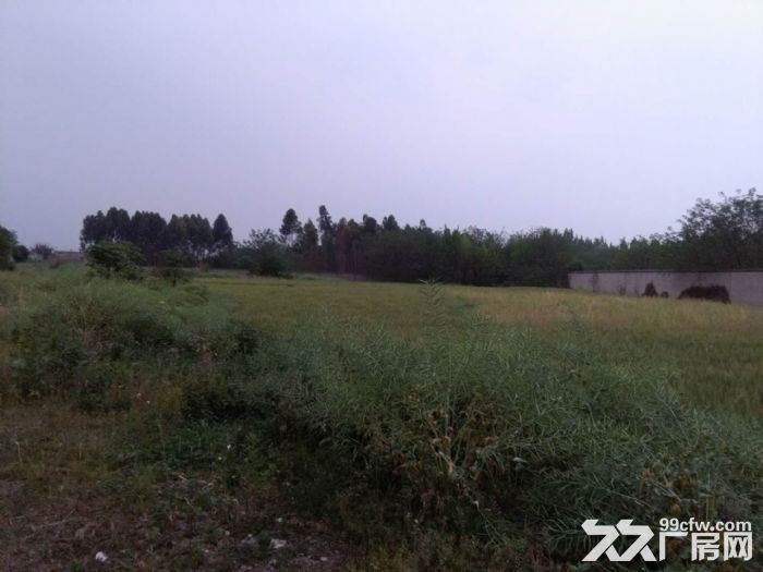 德阳土地转让，推动城市发展的核心引擎