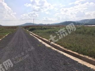 定西土地出租，推动农业发展的新模式探索