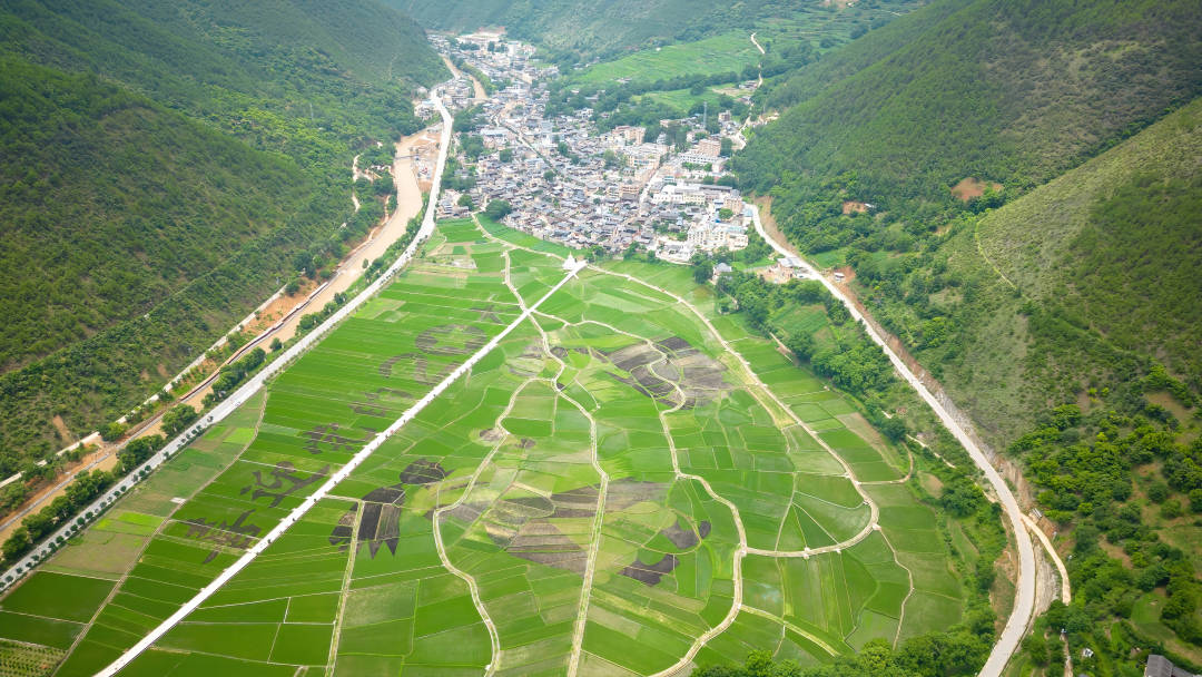 迪庆土地网，高原土地资源数字化探索与发现平台