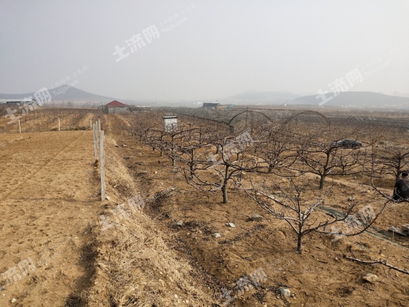 大连土地流转，农业现代化与乡村振兴的新引擎