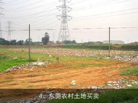 东莞土地发包，推动城市发展的核心引擎