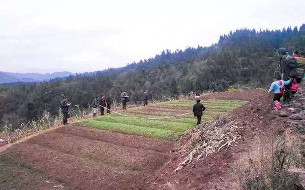恩施土地发包，农业现代化与乡村振兴的新引擎