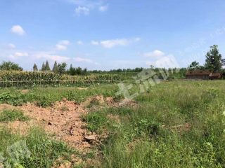 恩施土地出租，助力地方经济腾飞的新引擎