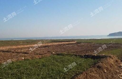 鄂州土地流转，农业现代化与乡村振兴的新引擎