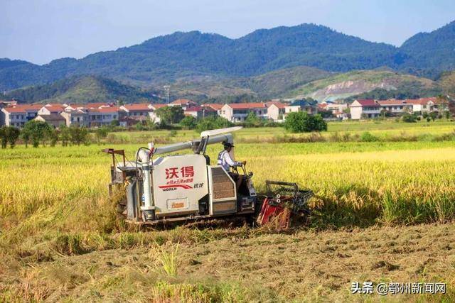 鄂州土地发包，推动农业现代化与乡村振兴的核心驱动力