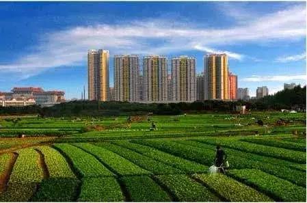 佛山土地流转，农业现代化与乡村振兴的新引擎