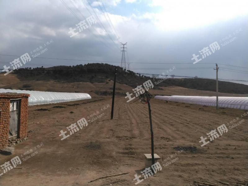 抚顺土地发包，推动农业现代化与乡村振兴的关键举措