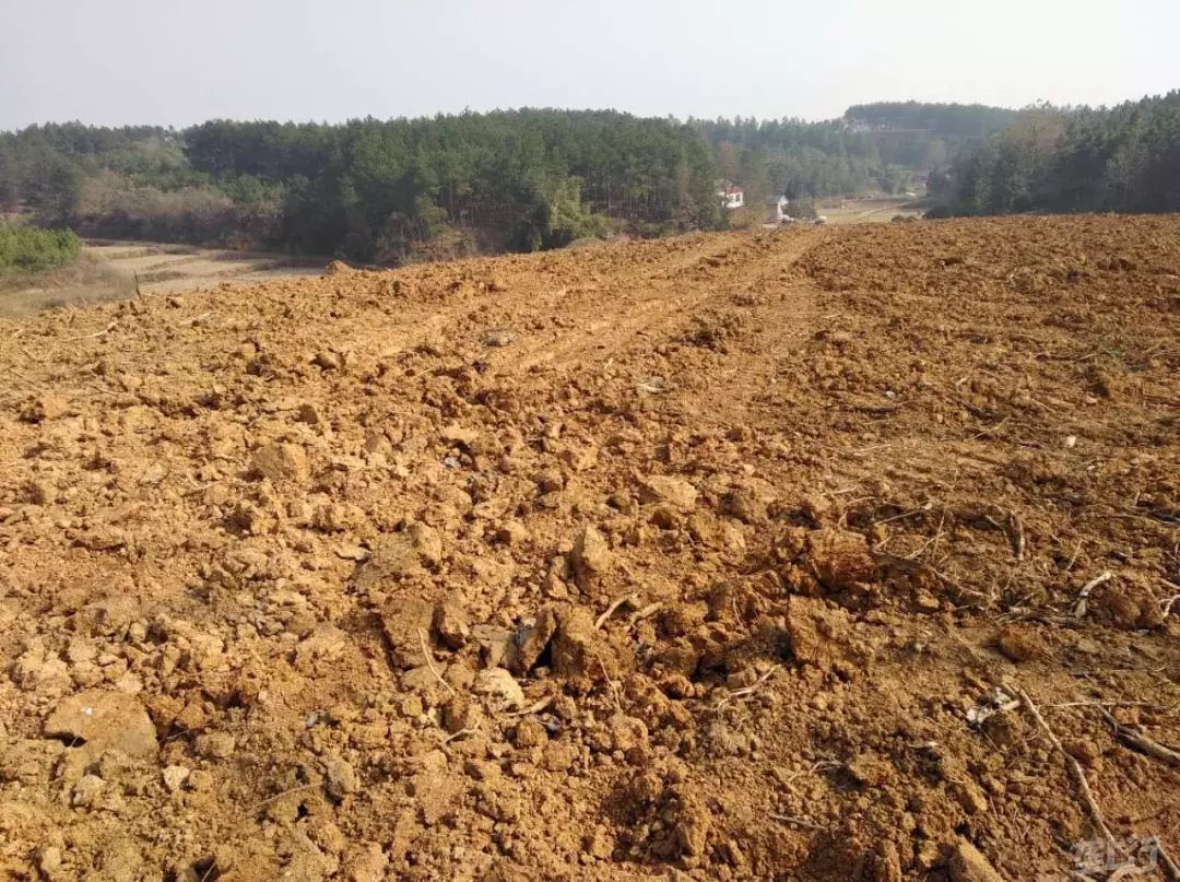 抚顺土地网，城市土地管理的数字化探索之路