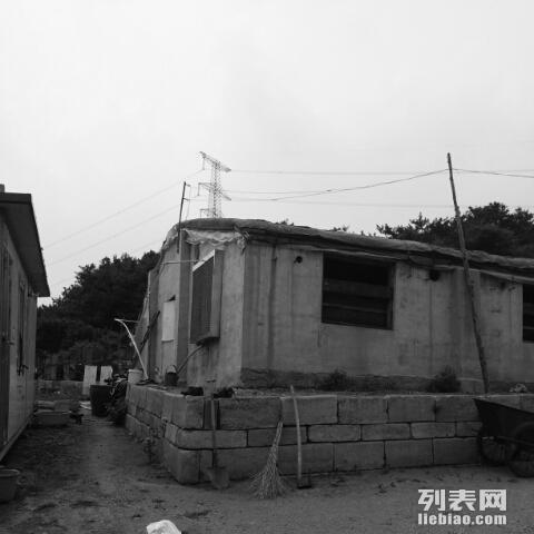抚顺地皮，历史沿革、现状分析及未来展望