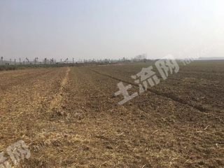 阜阳土地出租，现状剖析、挑战应对与未来展望