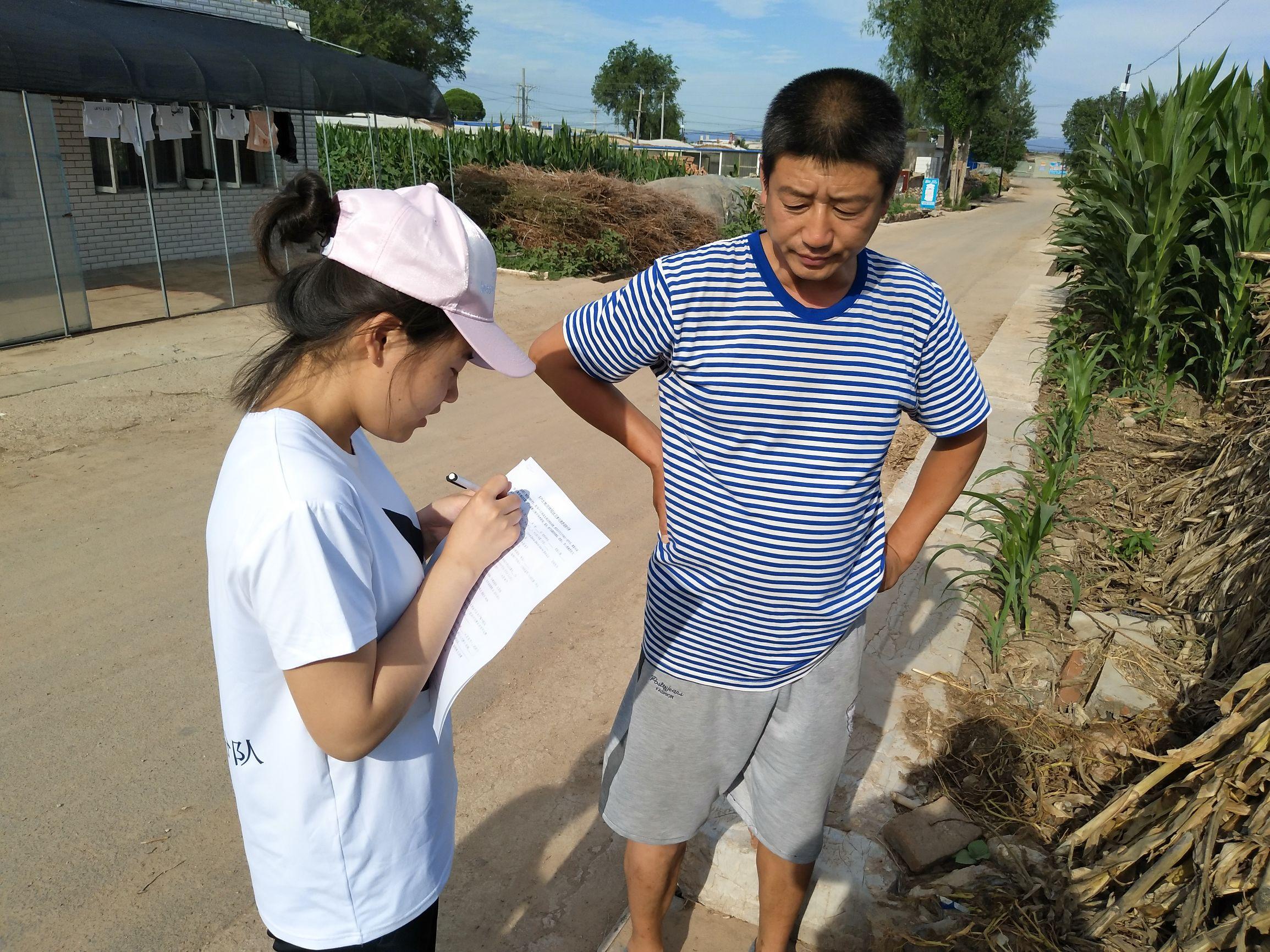 阜新土地流转，农业现代化与乡村振兴的新引擎