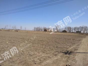 阜新土地出租，农业现代化新动力启程