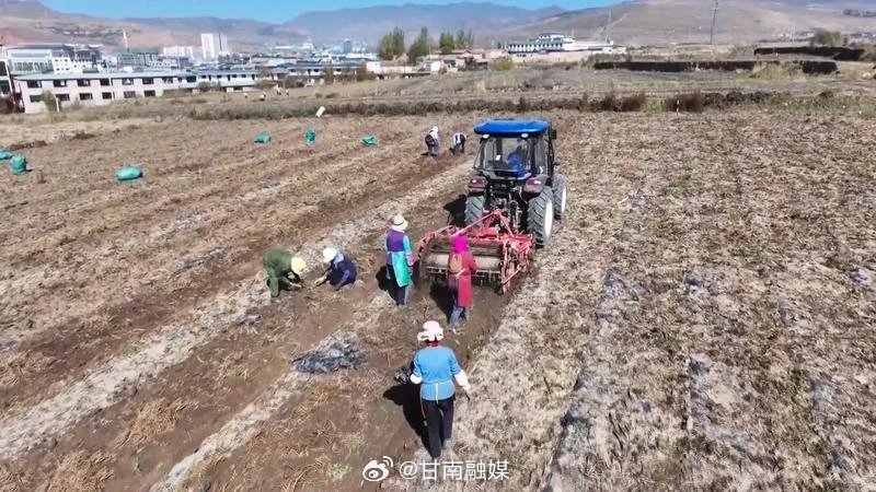 甘南土地发包，地方经济新动力引擎启动