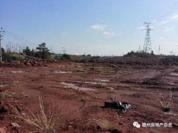 赣州土地发包，农业现代化与乡村振兴的新引擎