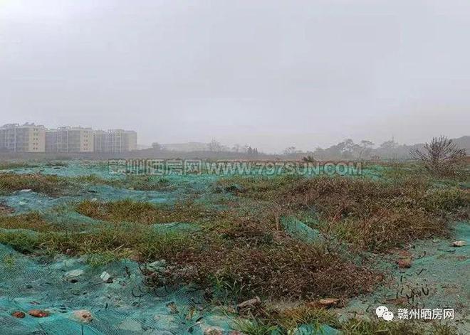 赣州土地转让，现状、趋势与面临的挑战