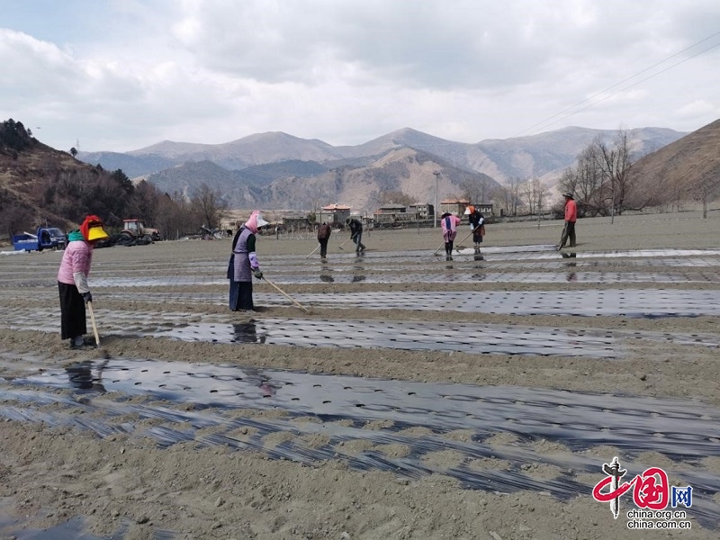 甘孜州土地流转，农业现代化与乡村振兴的新引擎