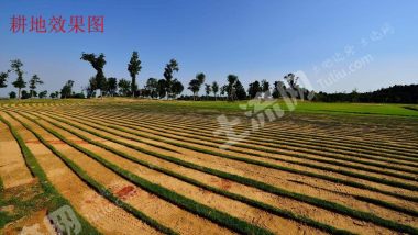 广东土地流转，农业现代化与乡村振兴的助推器