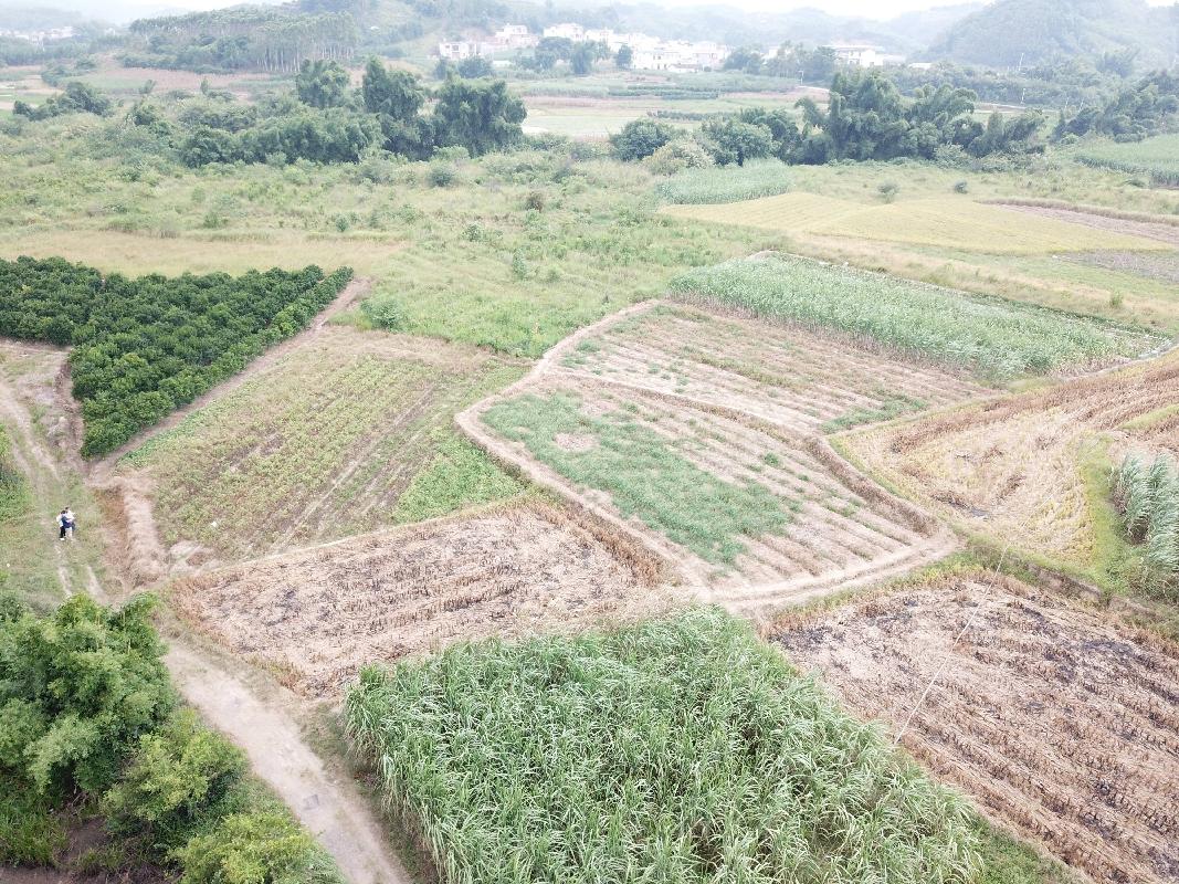 桂林土地发包，重塑乡村经济的新起点