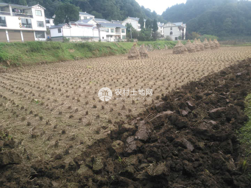 贵阳土地发包，重塑农村经济的核心动力