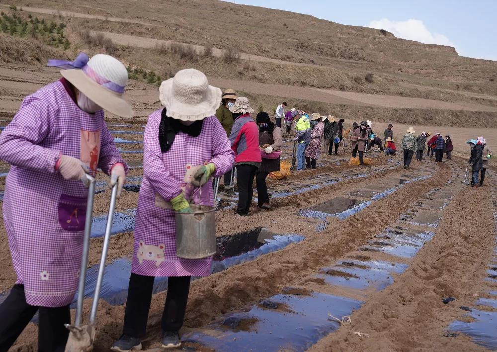 果洛土地流转，农业现代化与乡村振兴的新引擎