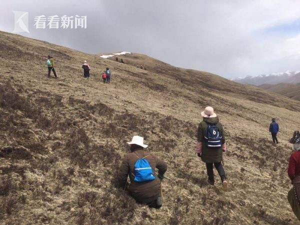 果洛地皮，探寻高原神秘宝藏之旅