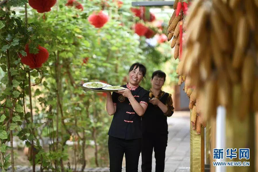 固原土地流转，农业现代化与乡村振兴的新引擎