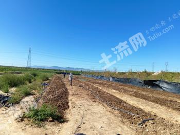 固原土地发包重塑农村经济发展新篇章