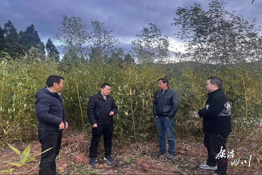 广元土地流转，农业现代化与乡村振兴的新引擎