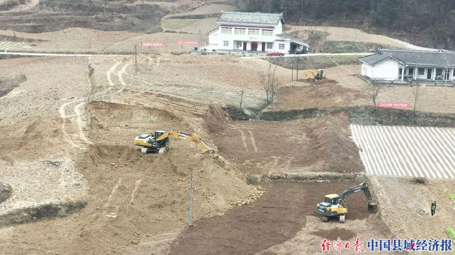 月光之子 第7页