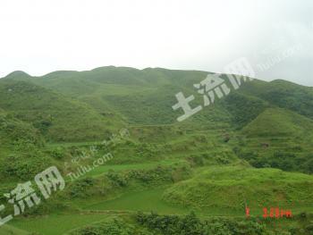 贵州土地网，连接土地与未来的桥梁纽带