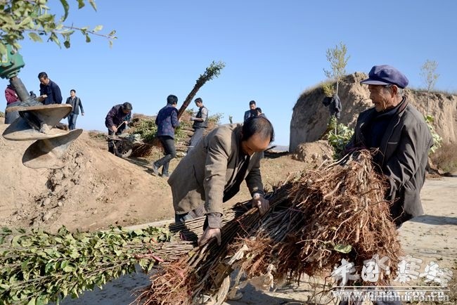 海北州土地流转，农业现代化与乡村振兴的新引擎