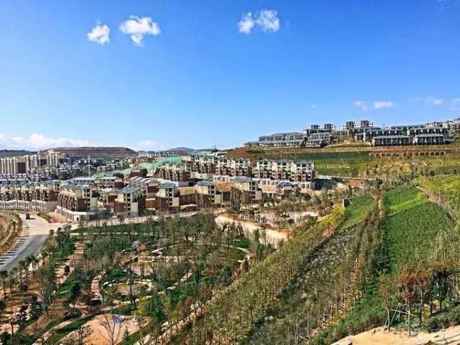 海东土地网，连接土地与未来的桥梁纽带