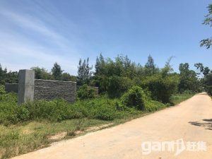 海口土地市场，出售、现状与发展趋势分析