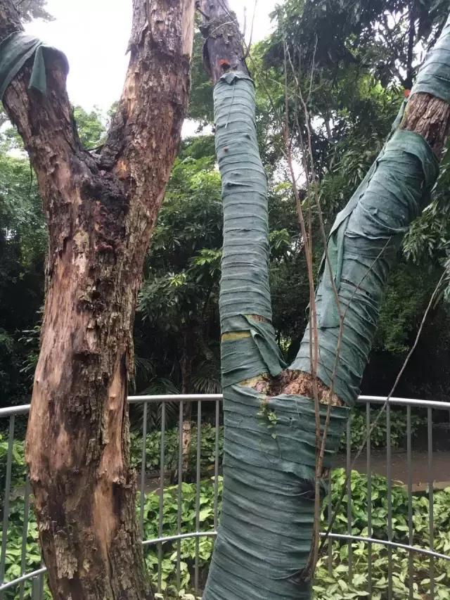 海口土地转让，现状与未来发展趋势分析