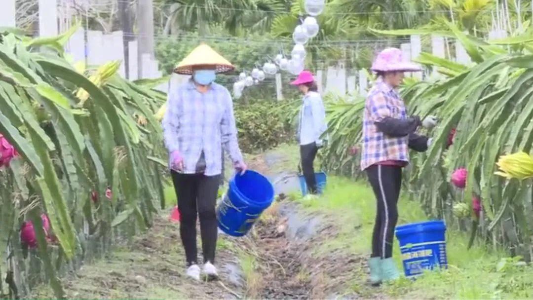 海南土地流转，探索与实践之路