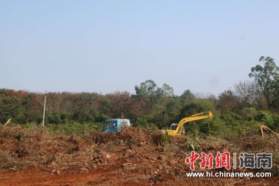 海南土地发包，探索与实践之路