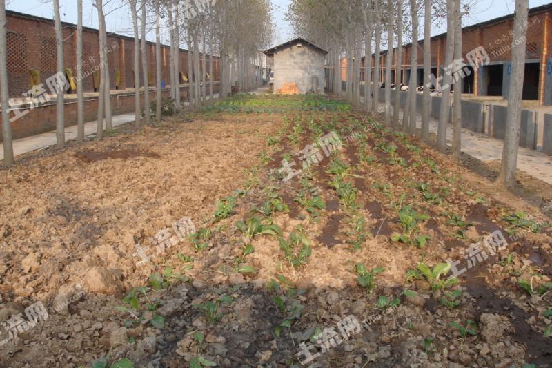 邯郸土地出租，现状剖析、挑战应对与未来展望