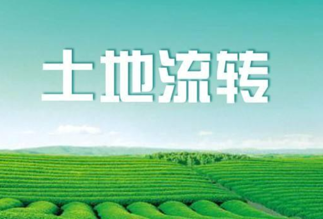 鹤岗市土地流转，推动农业现代化进程的关键行动
