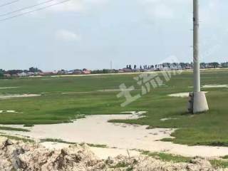 黑河土地流转，推动农业现代化进程的核心动力