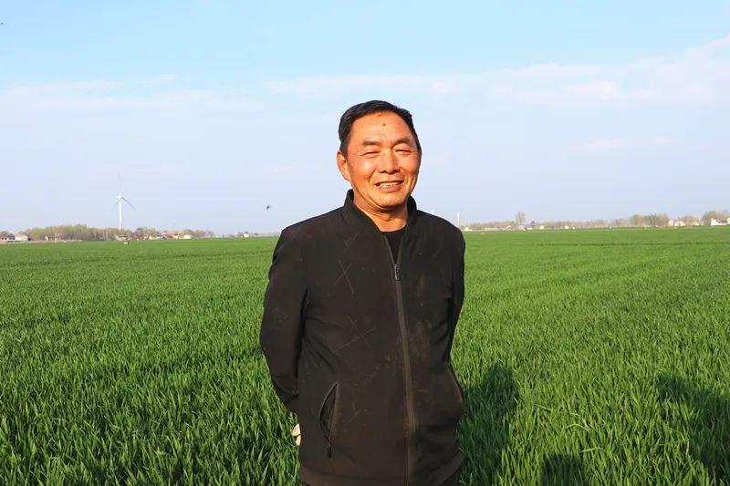 河南地皮，历史、文化与发展的多维探索