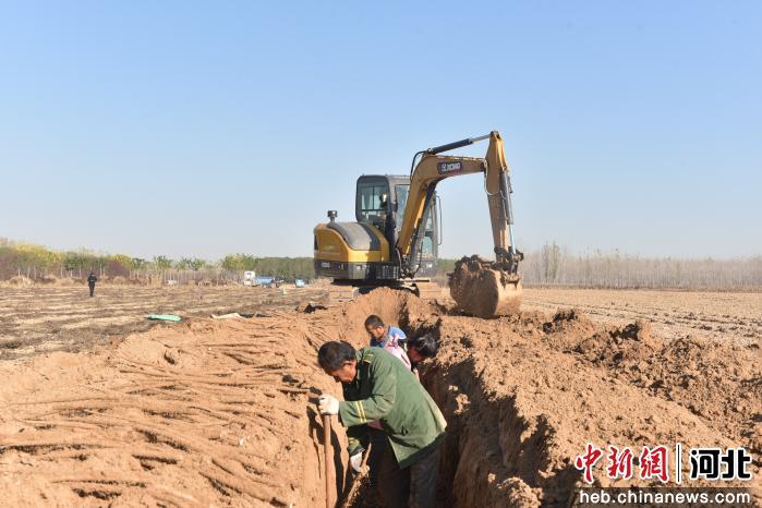 衡水土地发包，重塑农村经济发展新模式，开启乡村振兴新篇章