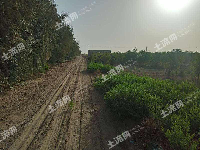 和田土地转让，推动经济发展的关键行动