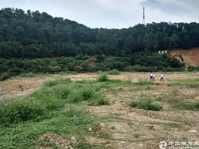 河源土地流转，农业现代化与乡村振兴的新引擎