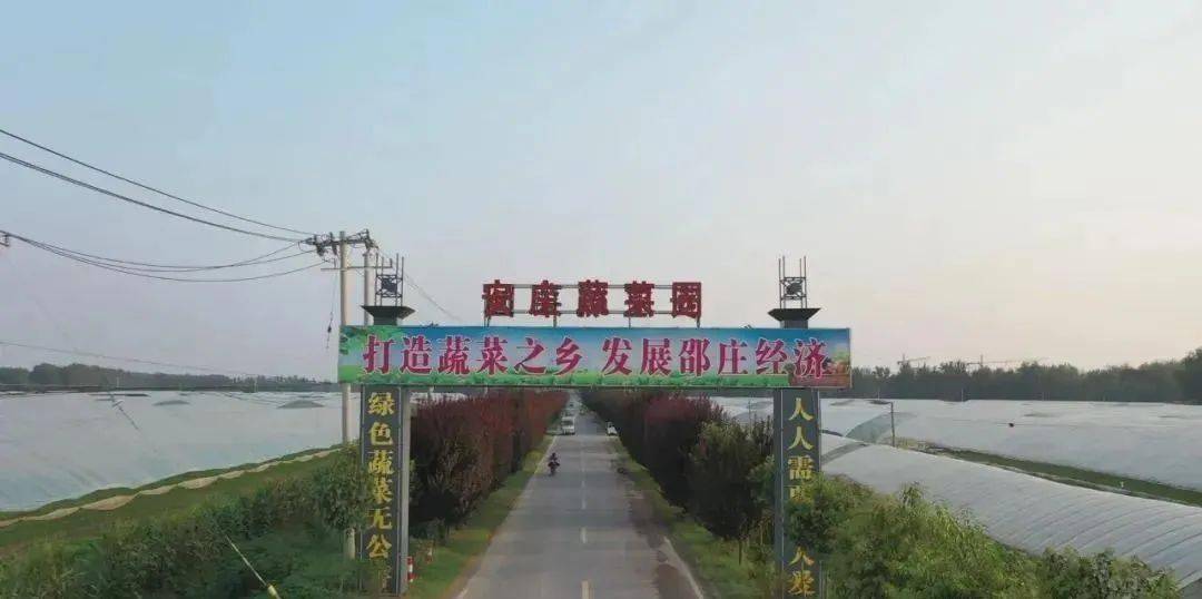 菏泽土地流转，推动农业现代化进程的核心驱动力