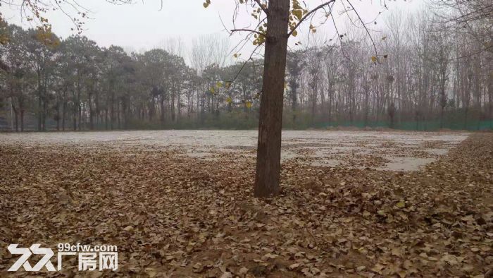 菏泽土地出售，机遇与挑战的交汇点