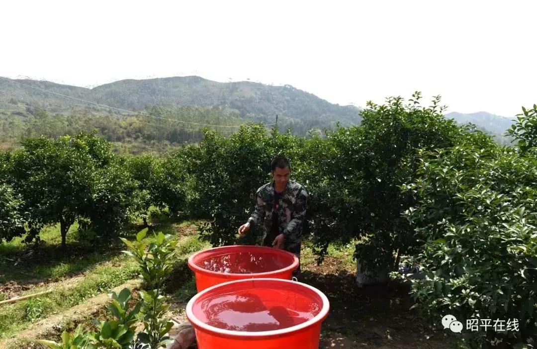 贺州土地流转，农业现代化与乡村振兴的新引擎