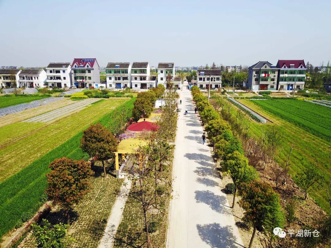 葫芦岛土地发包，探索新机遇，开启新征程