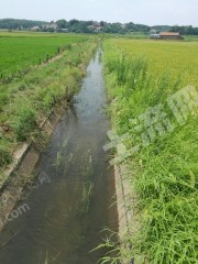 湖南土地出租，现状、挑战与机遇分析