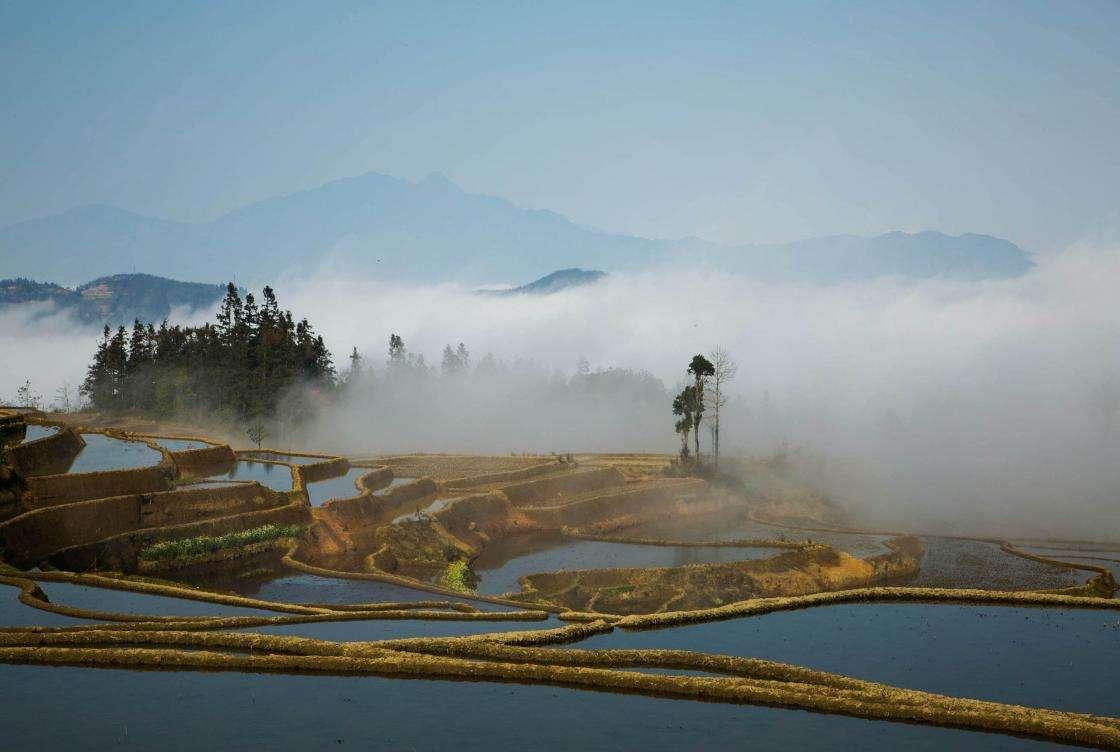 红河土地市场网，数字化探索土地市场之路
